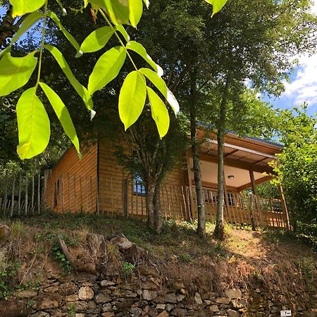 Camping Moulin De Chaules Saint-Constant Экстерьер фото