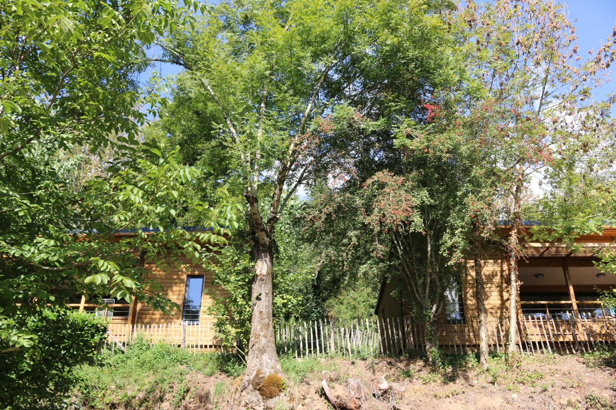 Camping Moulin De Chaules Saint-Constant Экстерьер фото